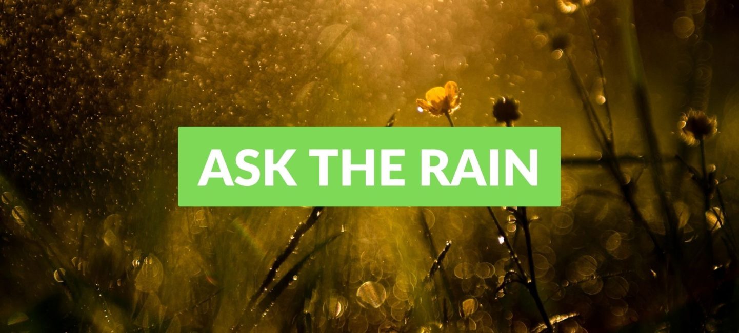Ask the Rain Instant Stress Relief