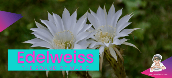 “Edelweiss” from The Sound of Music